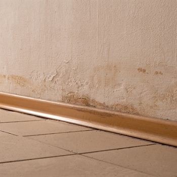 Do You Need to Repair Damaged Drywall Before Painting?