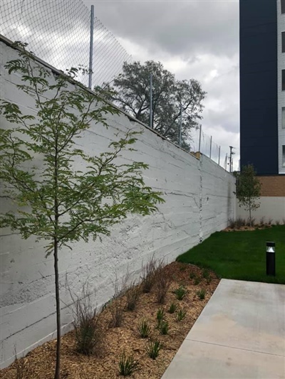 A landscaped area with a small tree and shrubs along a white concrete wall, adjacent to a grassy lawn and a sidewalk.