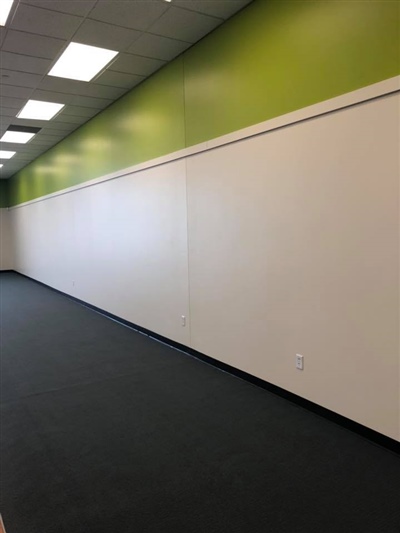 Empty room with a white wall, a green upper section, and black flooring, illuminated by ceiling lights.