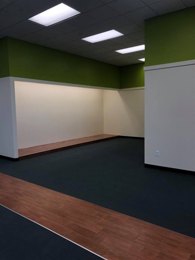 Empty room with green and white walls, black flooring, and a wooden section, lit by ceiling lights.