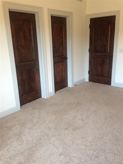 A room with beige carpet, three dark wooden doors with white trim, and light-colored walls.